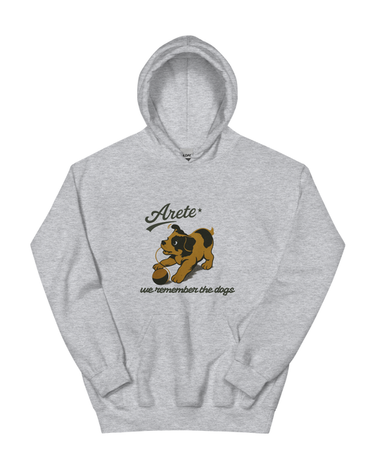SUDADERA ARETE, SAVE THE DOGS - GRIS || SPRING26
