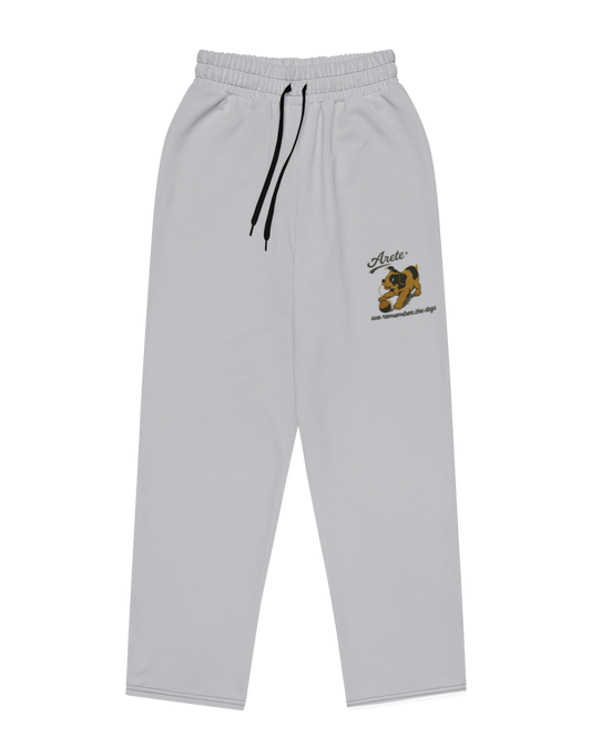 PANTALÓN ARETE, SAVE OUR CITY - GRIS || SPRING26