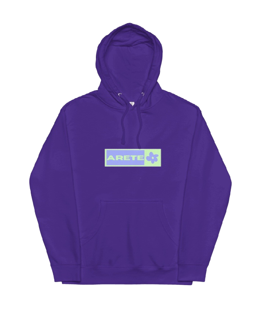 SUDADERA ARETE, BOX LOGO - LILA || SPRING24